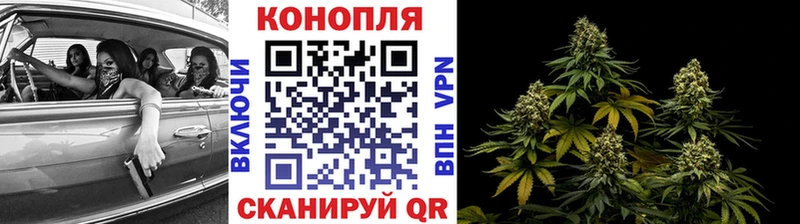 Конопля SATIVA & INDICA  где купить   Красновишерск 